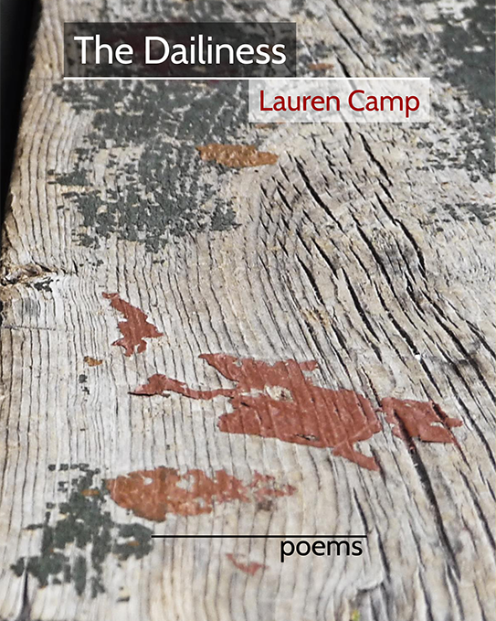 The Dailiness, Poems by Lauren Camp