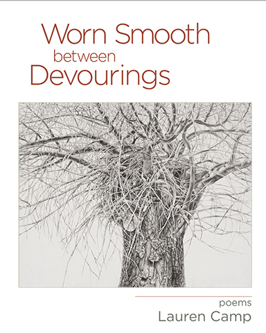 Worn Smooth between Devourings by Lauren Camp