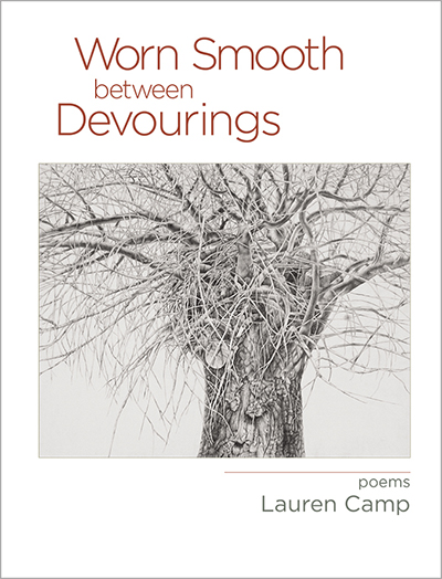 Worn Smooth between Devourings by Lauren Camp